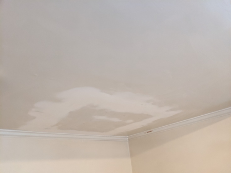Ceiling After Patching