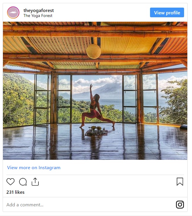 Yoga forest instagram post